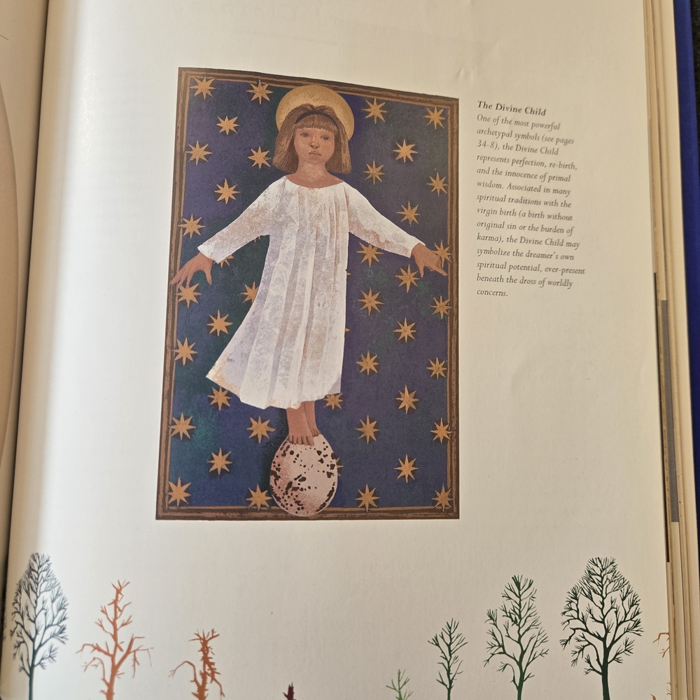 The Secret Language of Dreams Softcover Book - Picture 12 of 12